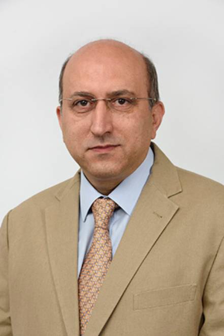  Dr. Maziar Parsa , Vice Chairman of the Board 