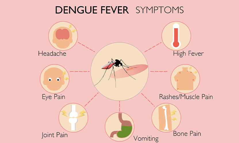 Dengue_fever